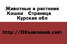 Животные и растения Кошки - Страница 5 . Курская обл.